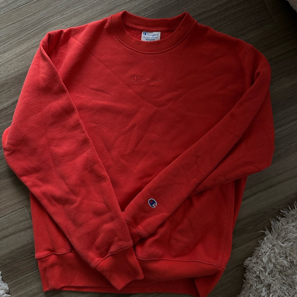 Reverse weave sweat set (size medium in both)